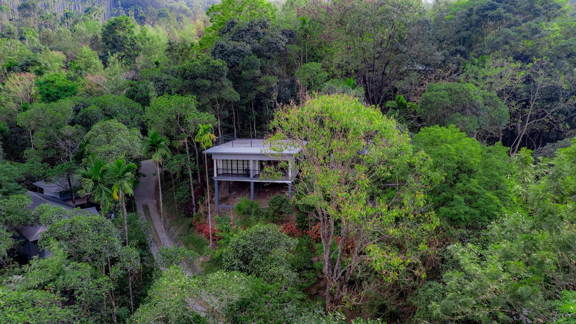 Hotel The Hive, Wayanad Zewnętrze zdjęcie